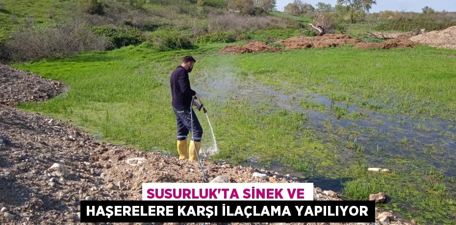 Susurluk'ta sinek ve haşerelere karşı ilaçlama yapılıyor