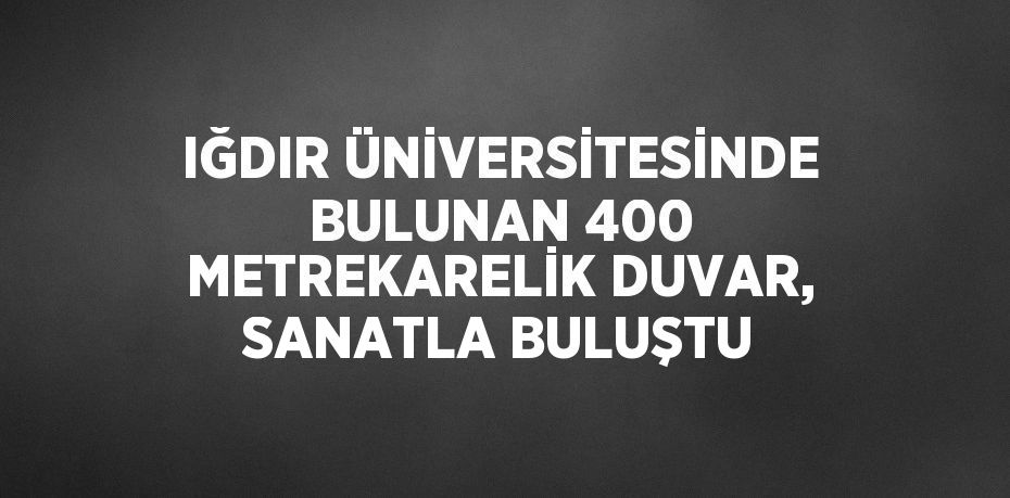 IĞDIR ÜNİVERSİTESİNDE BULUNAN 400 METREKARELİK DUVAR, SANATLA BULUŞTU