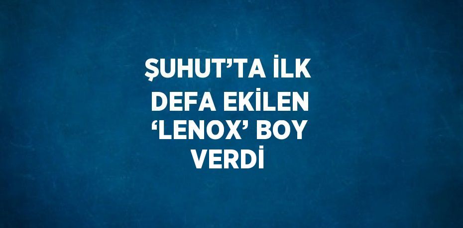 ŞUHUT’TA İLK DEFA EKİLEN ‘LENOX’ BOY VERDİ