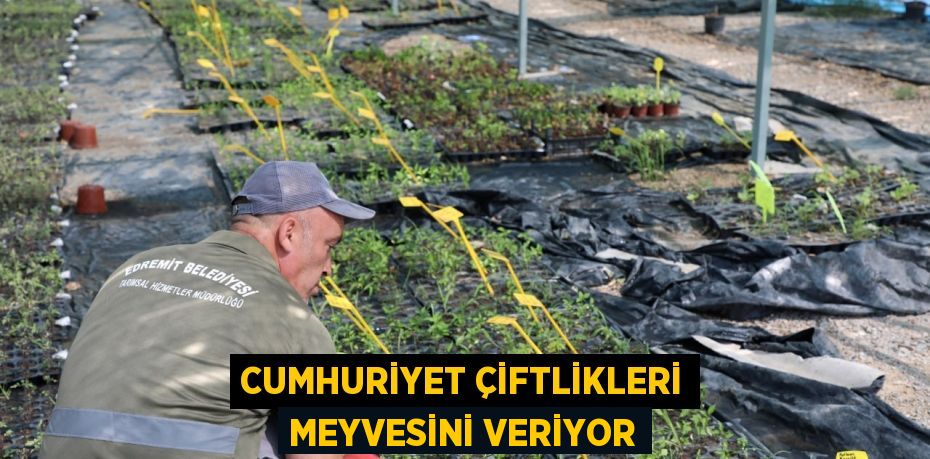 CUMHURİYET ÇİFTLİKLERİ MEYVESİNİ VERİYOR