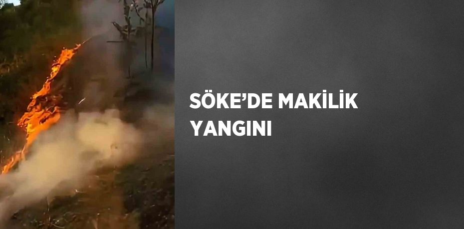 SÖKE’DE MAKİLİK YANGINI