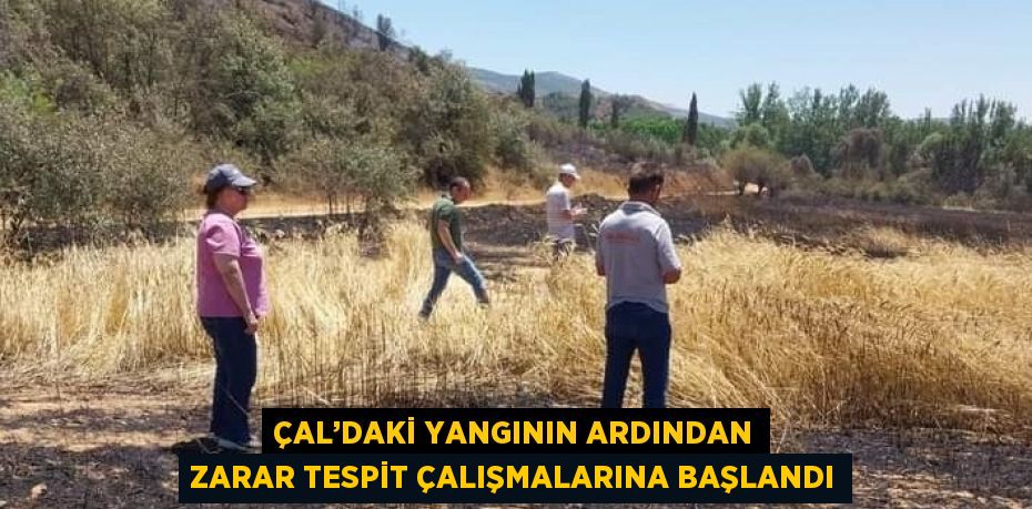 ÇAL’DAKİ YANGININ ARDINDAN ZARAR TESPİT ÇALIŞMALARINA BAŞLANDI