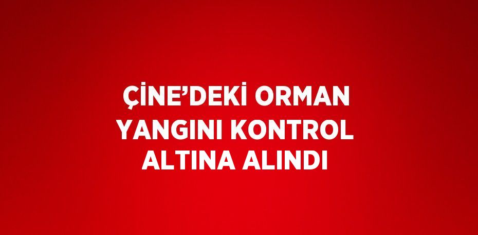 ÇİNE’DEKİ ORMAN YANGINI KONTROL ALTINA ALINDI