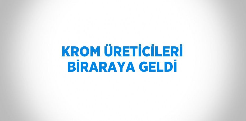 KROM ÜRETİCİLERİ BİRARAYA GELDİ