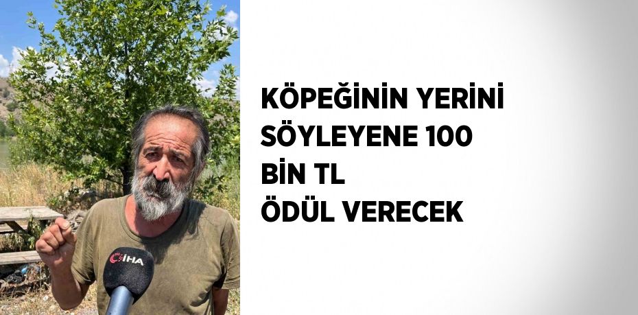 KÖPEĞİNİN YERİNİ SÖYLEYENE 100 BİN TL ÖDÜL VERECEK