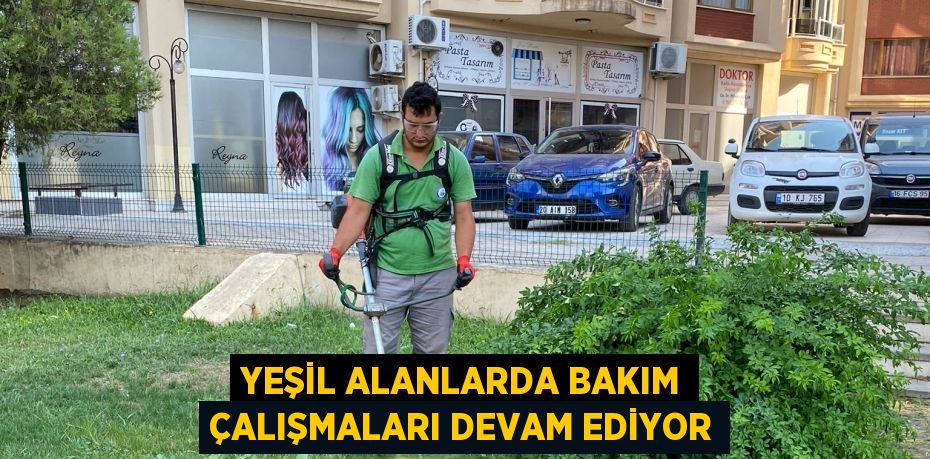 Yeşil alanlarda bakım çalışmaları devam ediyor