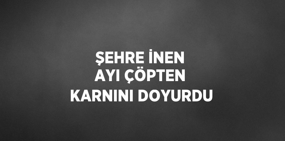 ŞEHRE İNEN AYI ÇÖPTEN KARNINI DOYURDU