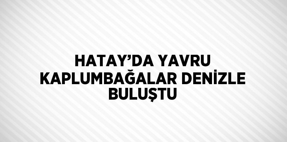 HATAY’DA YAVRU KAPLUMBAĞALAR DENİZLE BULUŞTU