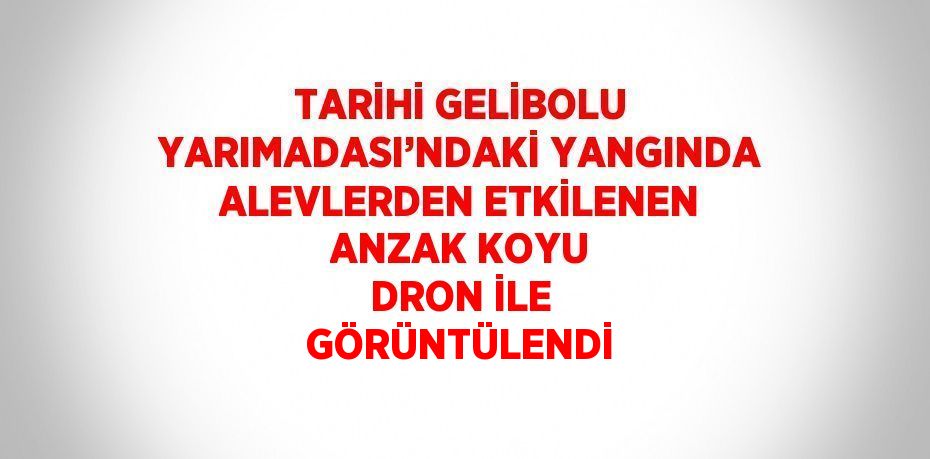 TARİHİ GELİBOLU YARIMADASI’NDAKİ YANGINDA ALEVLERDEN ETKİLENEN ANZAK KOYU DRON İLE GÖRÜNTÜLENDİ