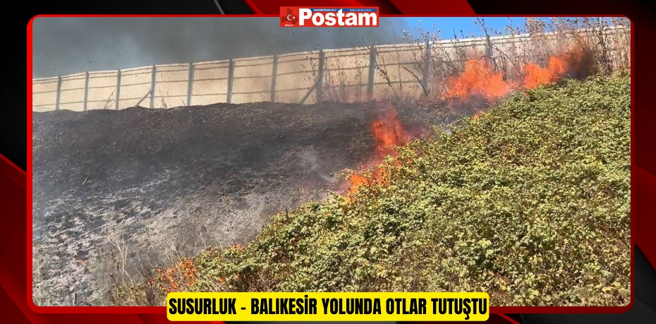 Susurluk - Balıkesir yolunda otlar tutuştu  