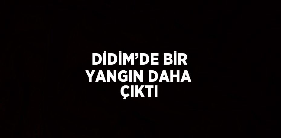 DİDİM’DE BİR YANGIN DAHA ÇIKTI