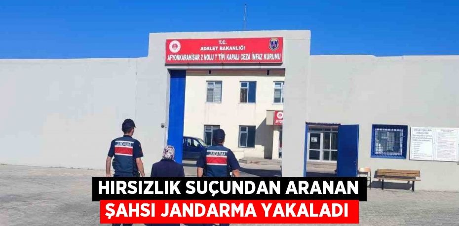 HIRSIZLIK SUÇUNDAN ARANAN ŞAHSI JANDARMA YAKALADI