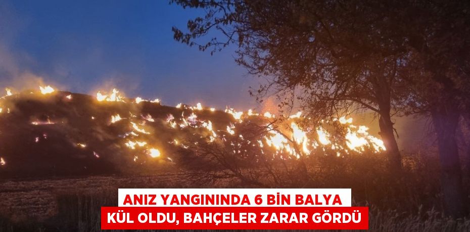 ANIZ YANGININDA 6 BİN BALYA KÜL OLDU, BAHÇELER ZARAR GÖRDÜ