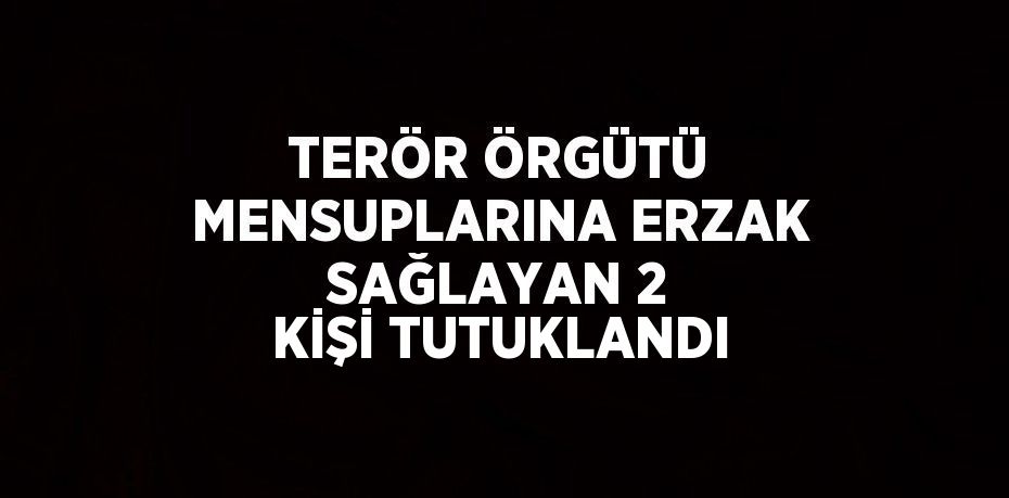 TERÖR ÖRGÜTÜ MENSUPLARINA ERZAK SAĞLAYAN 2 KİŞİ TUTUKLANDI