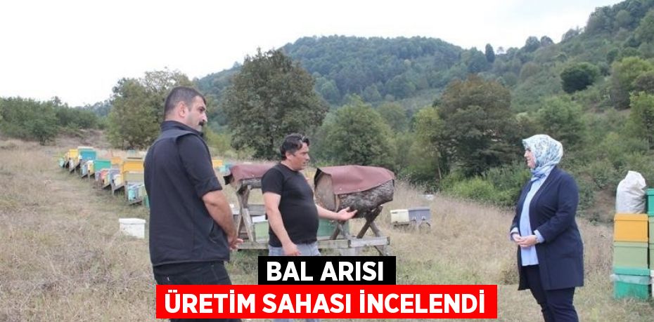 BAL ARISI ÜRETİM SAHASI İNCELENDİ