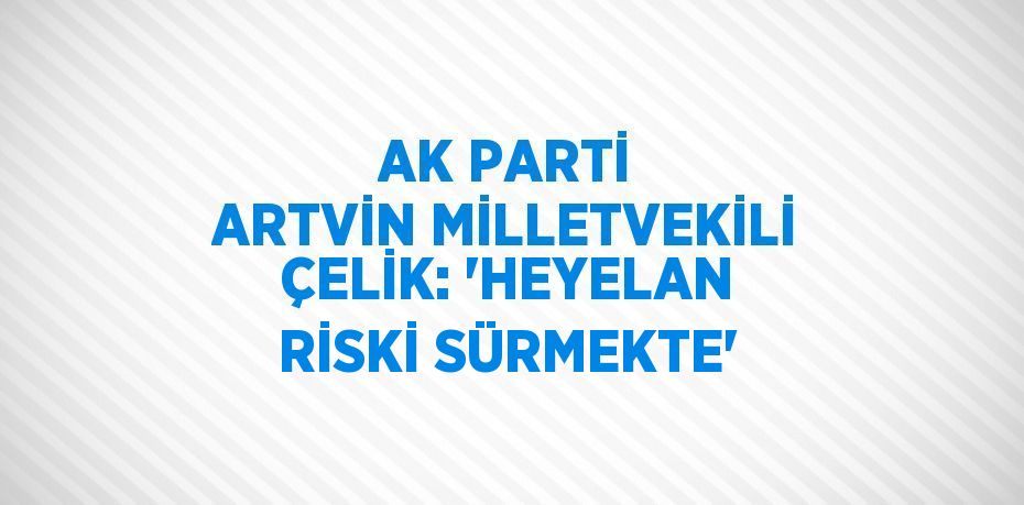 AK PARTİ ARTVİN MİLLETVEKİLİ ÇELİK: 'HEYELAN RİSKİ SÜRMEKTE'