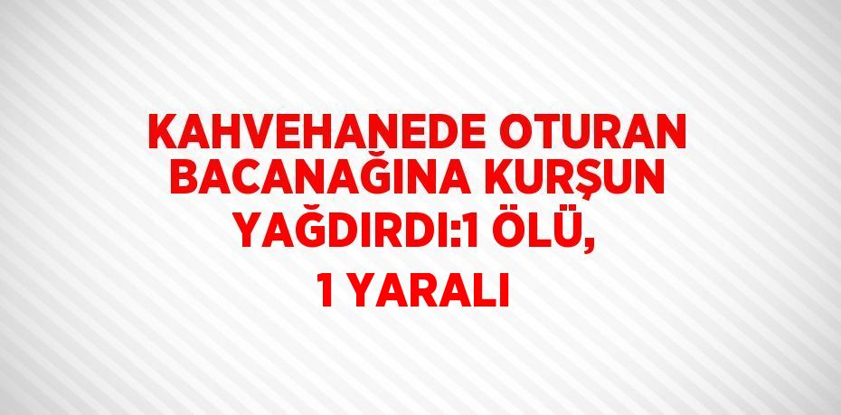 KAHVEHANEDE OTURAN BACANAĞINA KURŞUN YAĞDIRDI:1 ÖLÜ, 1 YARALI