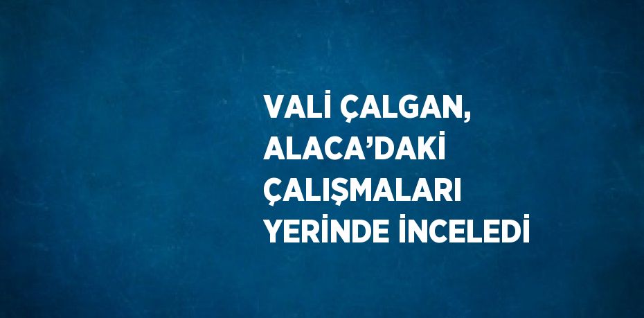 VALİ ÇALGAN, ALACA’DAKİ ÇALIŞMALARI YERİNDE İNCELEDİ