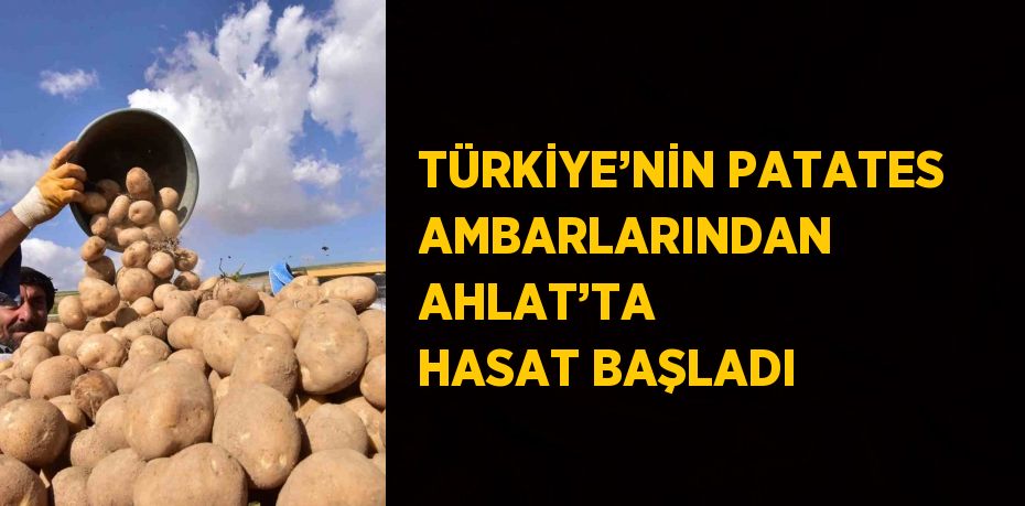 TÜRKİYE’NİN PATATES AMBARLARINDAN AHLAT’TA HASAT BAŞLADI