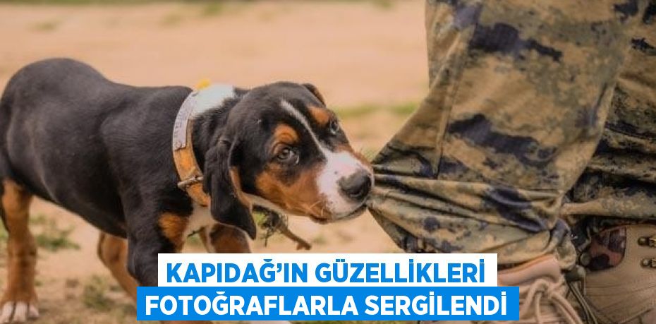 KAPIDAĞ’IN GÜZELLİKLERİ FOTOĞRAFLARLA SERGİLENDİ