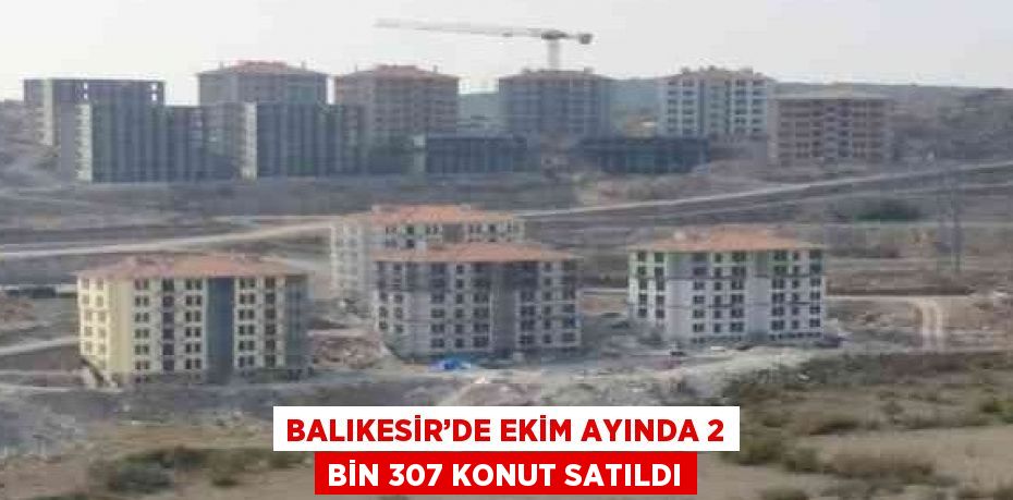 BALIKESİR’DE EKİM AYINDA 2 BİN 307 KONUT SATILDI