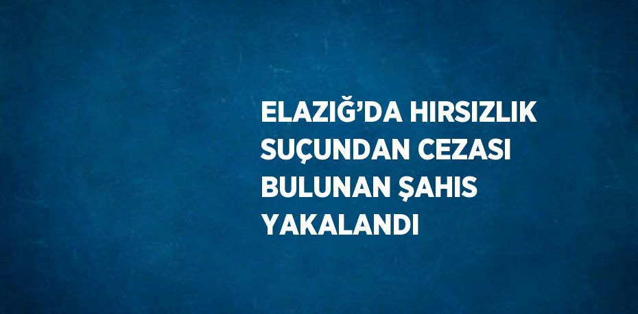 ELAZIĞ’DA HIRSIZLIK SUÇUNDAN CEZASI BULUNAN ŞAHIS YAKALANDI