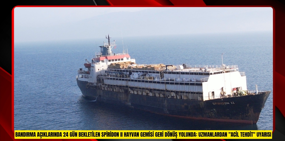 Bandırma açıklarında 24 gün bekletilen Spiridon II hayvan gemisi geri dönüş yolunda: Uzmanlardan &quot;acil tehdit&quot; uyarısı