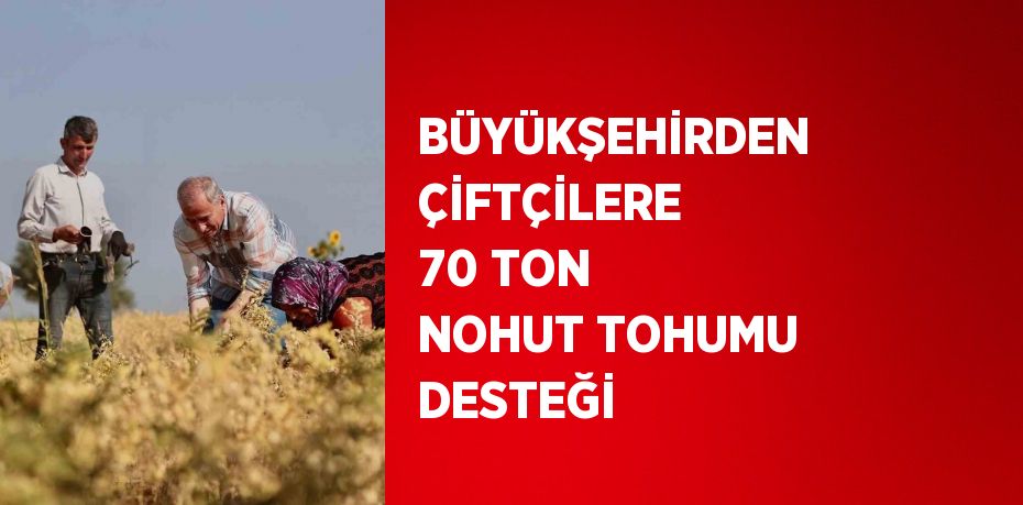 BÜYÜKŞEHİRDEN ÇİFTÇİLERE 70 TON NOHUT TOHUMU DESTEĞİ