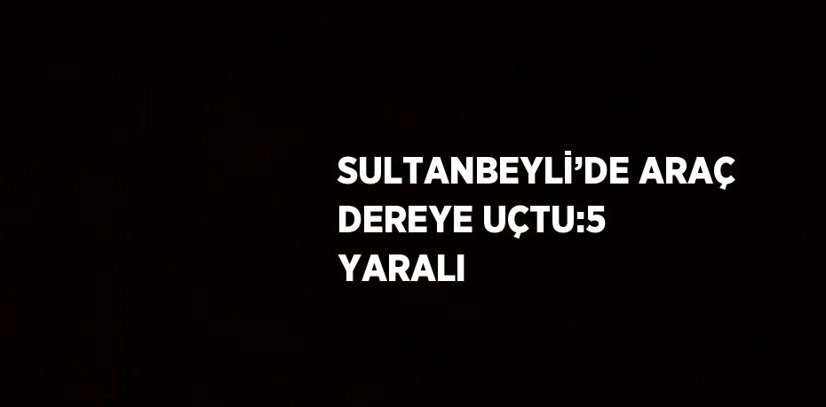 SULTANBEYLİ’DE ARAÇ DEREYE UÇTU:5 YARALI