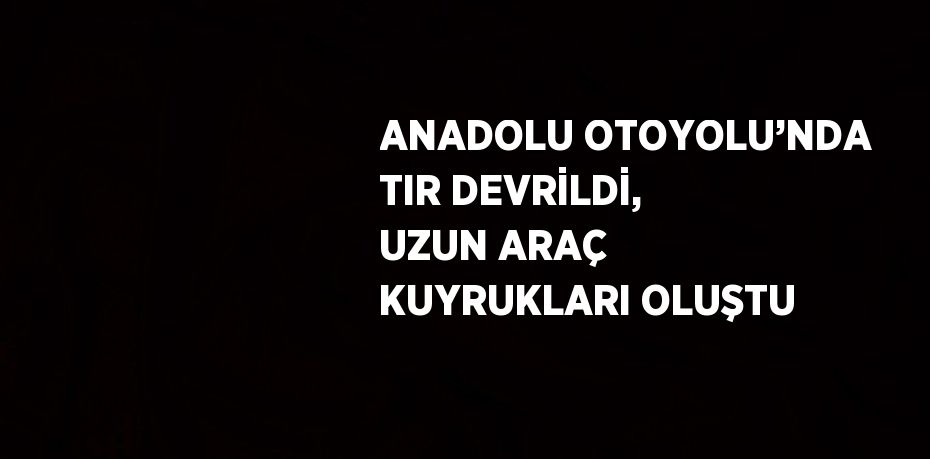 ANADOLU OTOYOLU’NDA TIR DEVRİLDİ, UZUN ARAÇ KUYRUKLARI OLUŞTU