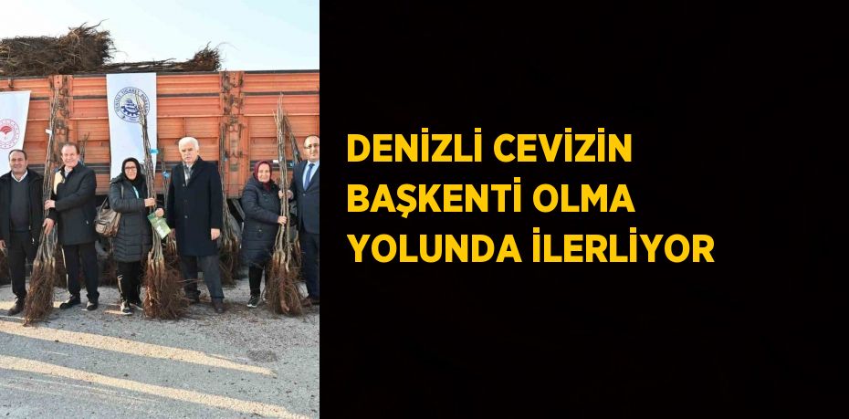 DENİZLİ CEVİZİN BAŞKENTİ OLMA YOLUNDA İLERLİYOR