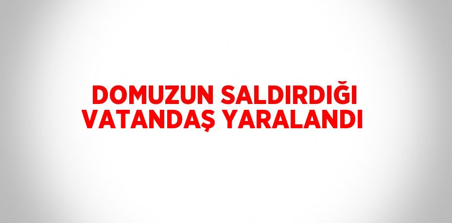 DOMUZUN SALDIRDIĞI VATANDAŞ YARALANDI