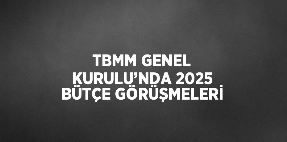 TBMM GENEL KURULU’NDA 2025 BÜTÇE GÖRÜŞMELERİ