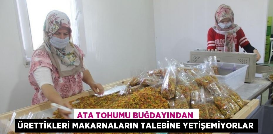 ATA TOHUMU BUĞDAYINDAN ÜRETTİKLERİ MAKARNALARIN TALEBİNE YETİŞEMİYORLAR