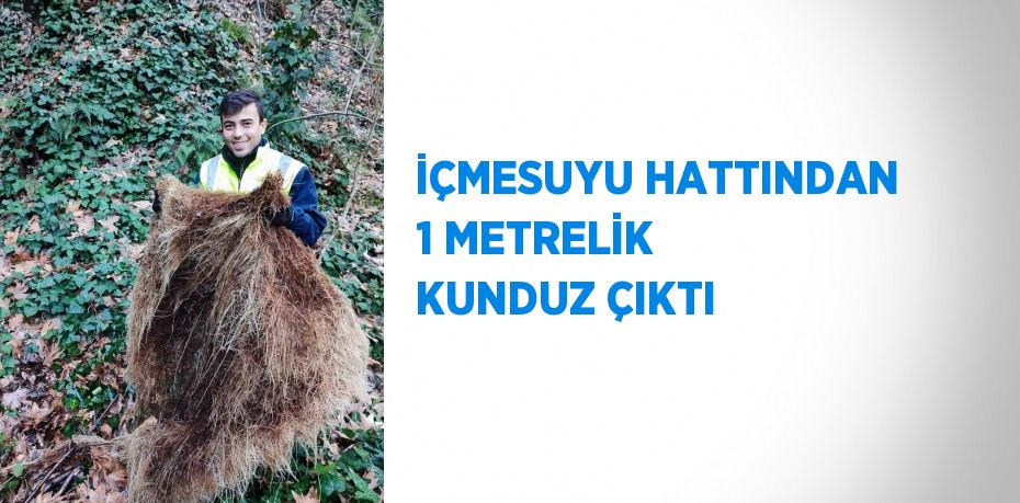 İÇMESUYU HATTINDAN 1 METRELİK KUNDUZ ÇIKTI