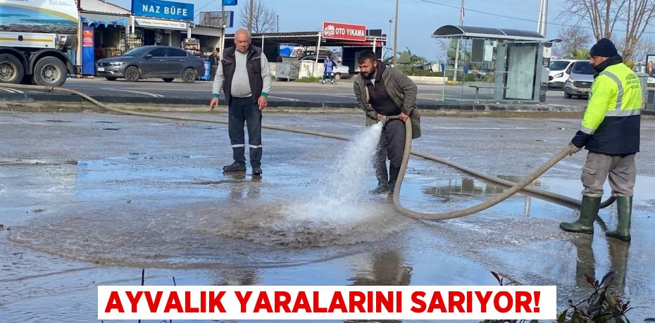 Ayvalık yaralarını sarıyor!