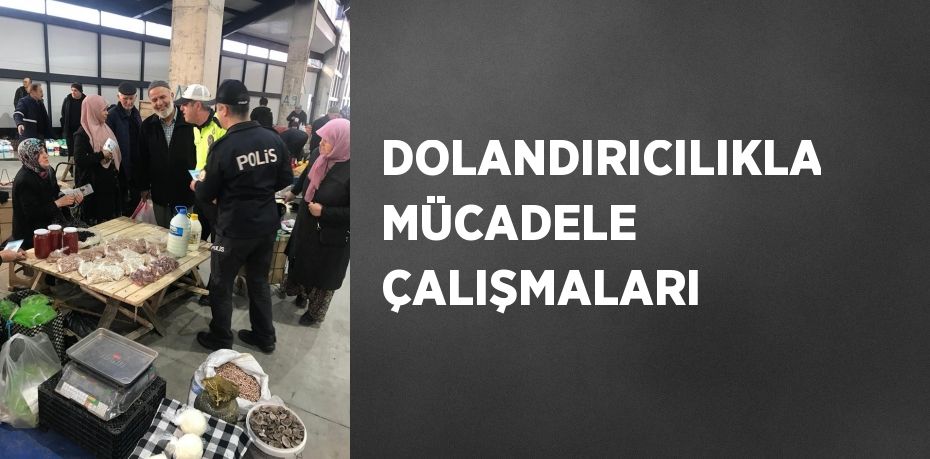 DOLANDIRICILIKLA MÜCADELE ÇALIŞMALARI