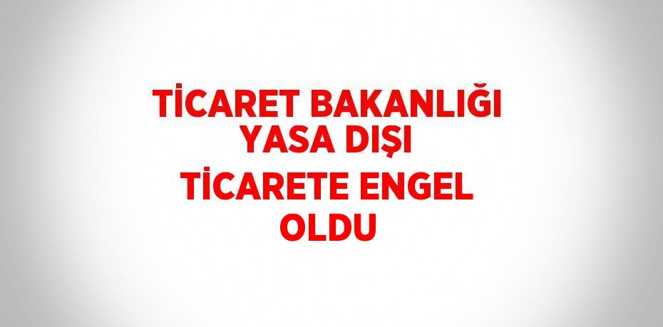 TİCARET BAKANLIĞI YASA DIŞI TİCARETE ENGEL OLDU