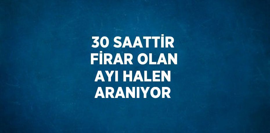 30 SAATTİR FİRAR OLAN AYI HALEN ARANIYOR