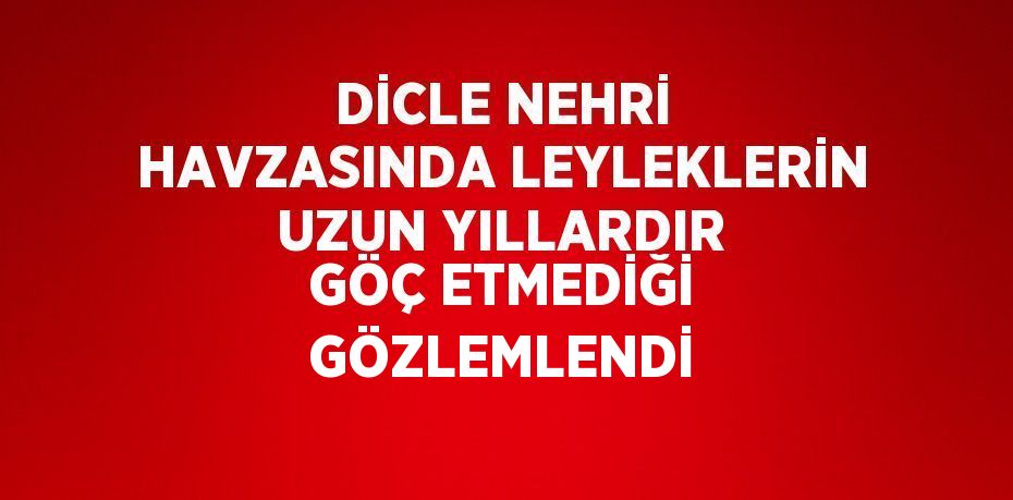 DİCLE NEHRİ HAVZASINDA LEYLEKLERİN UZUN YILLARDIR GÖÇ ETMEDİĞİ GÖZLEMLENDİ