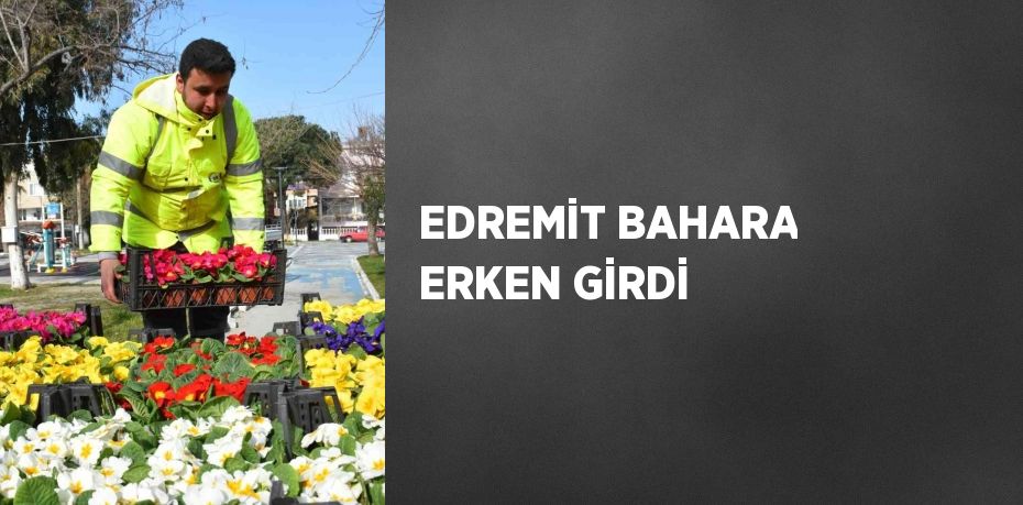 EDREMİT BAHARA ERKEN GİRDİ