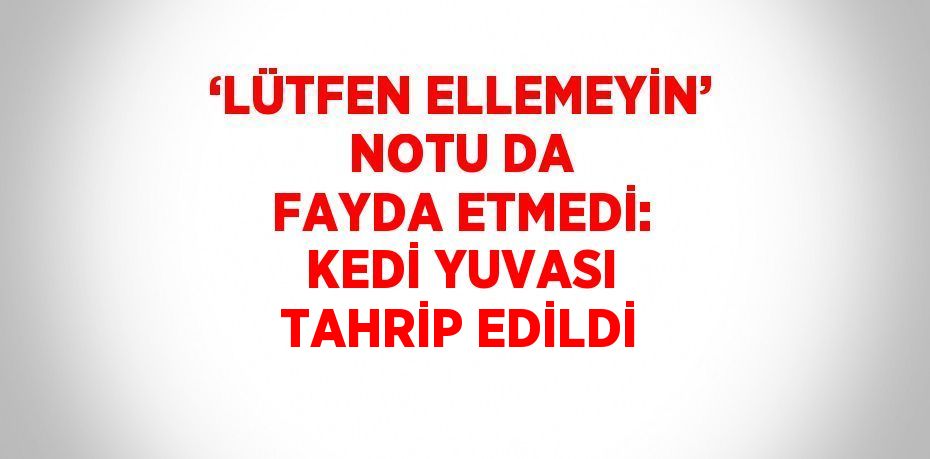 ‘LÜTFEN ELLEMEYİN’ NOTU DA FAYDA ETMEDİ: KEDİ YUVASI TAHRİP EDİLDİ