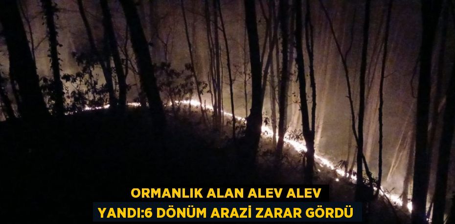 ORMANLIK ALAN ALEV ALEV YANDI:6 DÖNÜM ARAZİ ZARAR GÖRDÜ