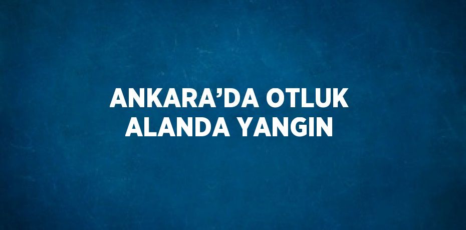 ANKARA’DA OTLUK ALANDA YANGIN