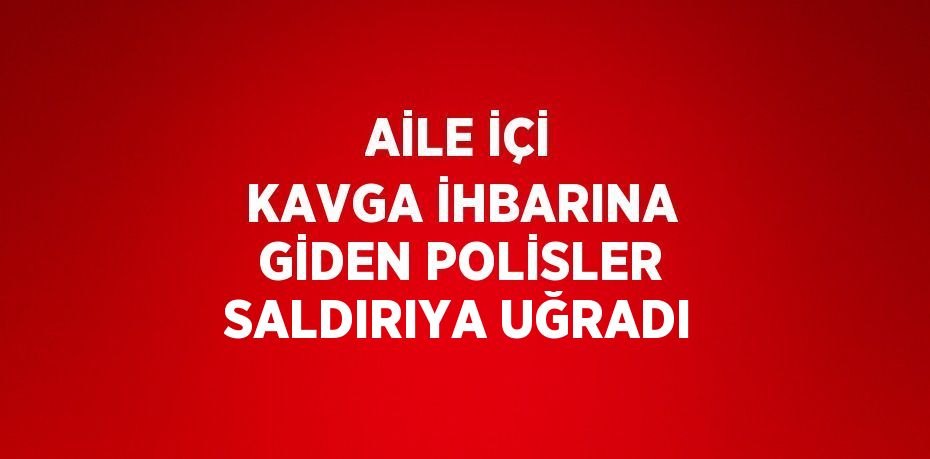 AİLE İÇİ KAVGA İHBARINA GİDEN POLİSLER SALDIRIYA UĞRADI