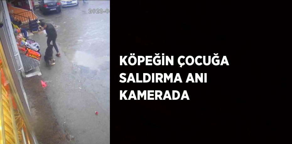 KÖPEĞİN ÇOCUĞA SALDIRMA ANI KAMERADA