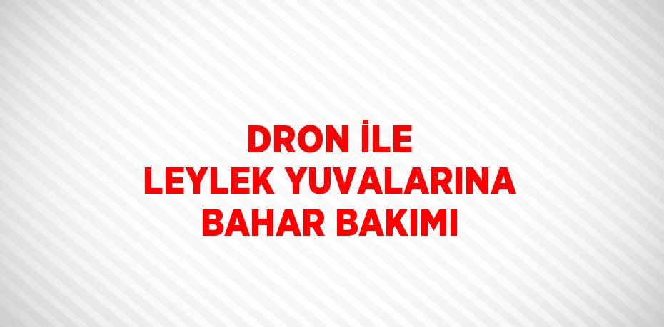 DRON İLE LEYLEK YUVALARINA BAHAR BAKIMI