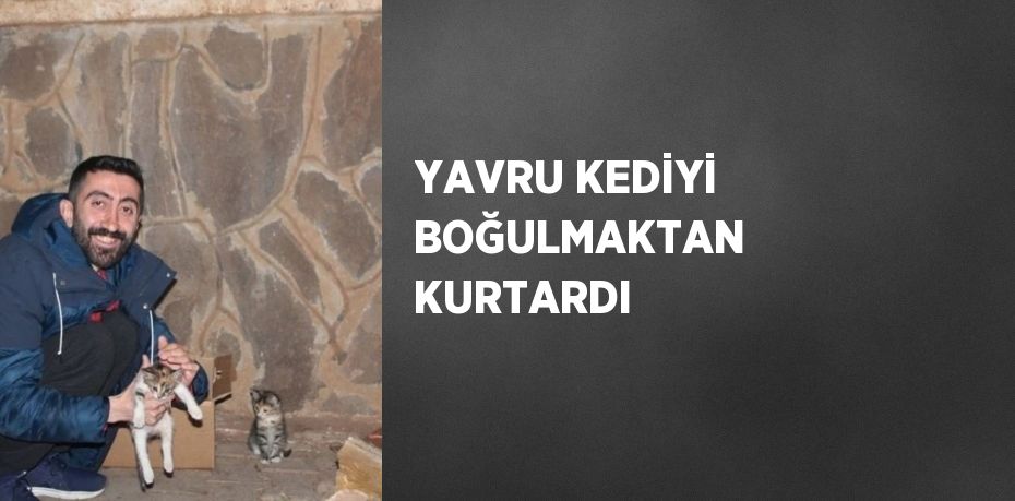 YAVRU KEDİYİ BOĞULMAKTAN KURTARDI