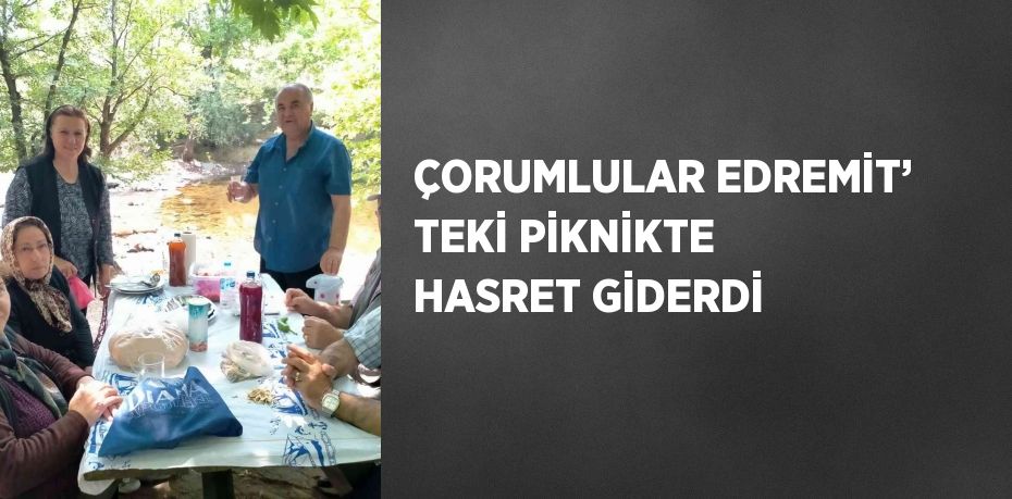 ÇORUMLULAR EDREMİT’ TEKİ PİKNİKTE HASRET GİDERDİ