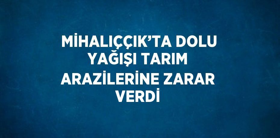 MİHALIÇÇIK’TA DOLU YAĞIŞI TARIM ARAZİLERİNE ZARAR VERDİ